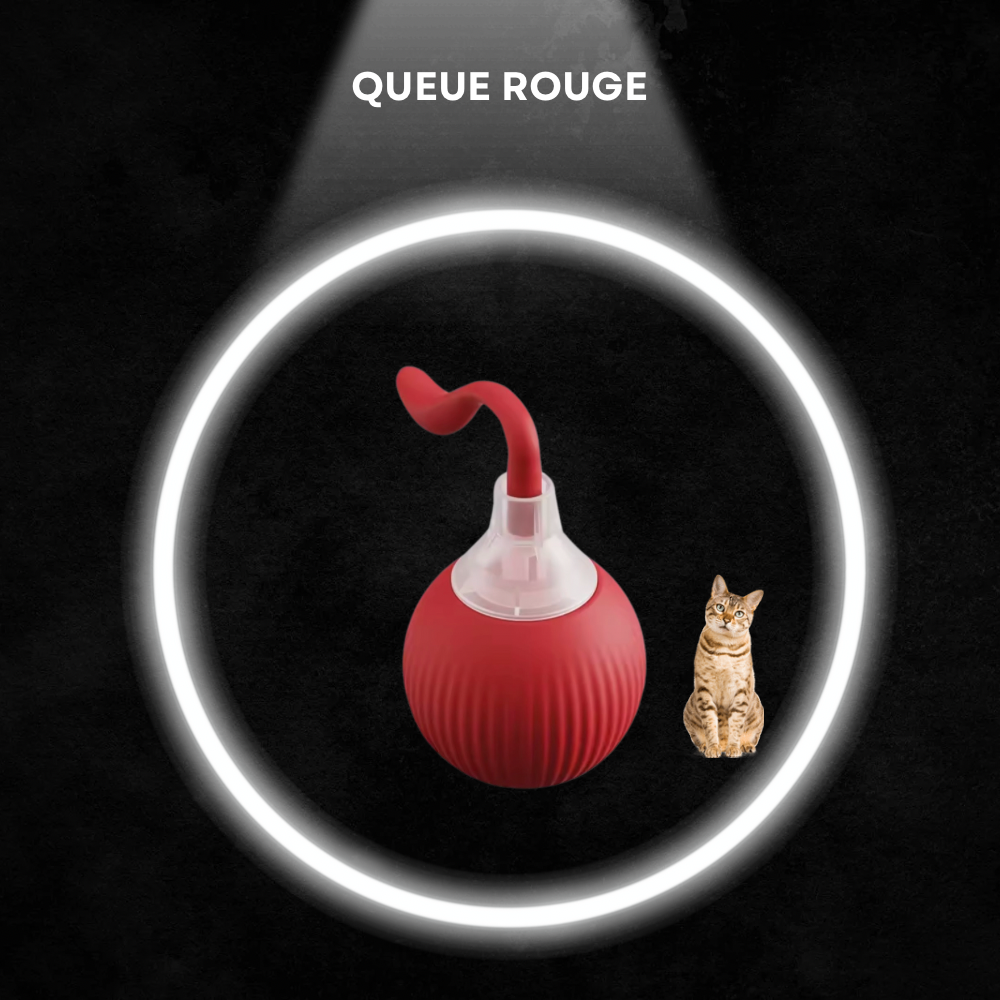 Balle Interactive Intelligente pour Chat – Silencieuse, Rechargeable, Résistante aux Morsures