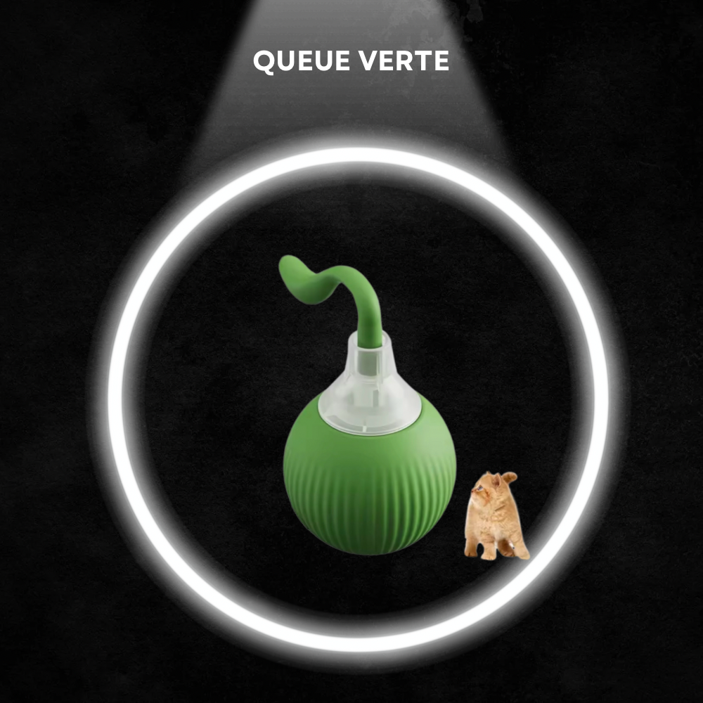 Balle Interactive Intelligente pour Chat – Silencieuse, Rechargeable, Résistante aux Morsures