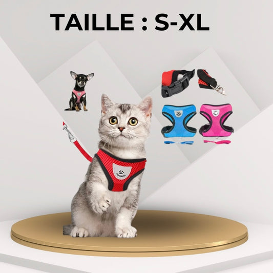 Harnais Respirant pour Chien et Chat avec Laisse – Harnais Réglable en Maille Polyester