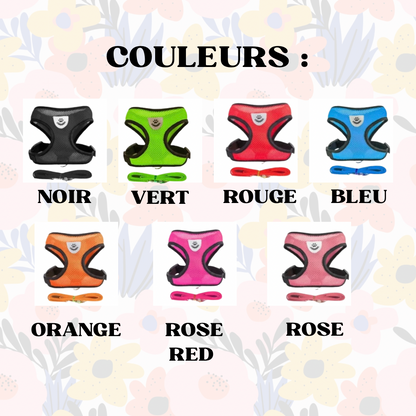 Harnais Respirant pour Chien et Chat avec Laisse – Harnais Réglable en Maille Polyester