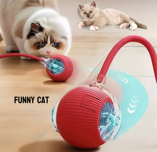 Balle Interactive Intelligente pour Chat – Silencieuse, Rechargeable, Résistante aux Morsures