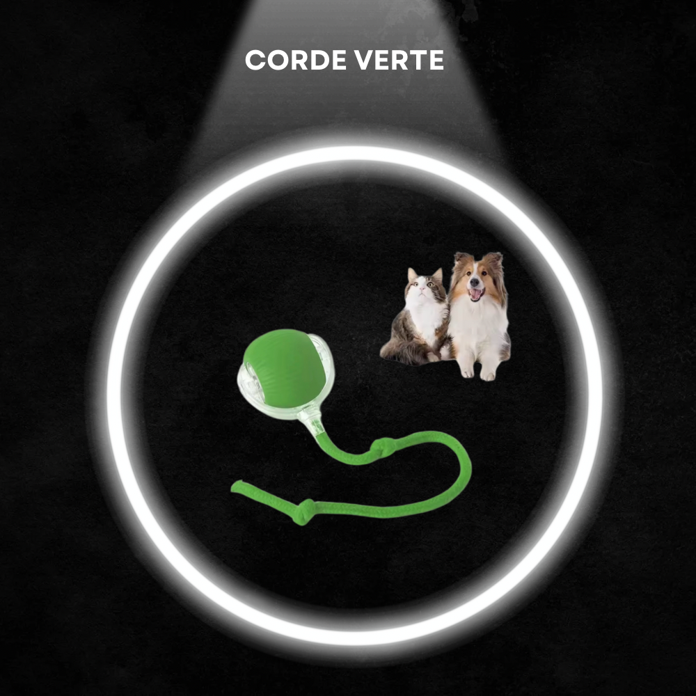Balle Interactive Intelligente pour Chat – Silencieuse, Rechargeable, Résistante aux Morsures