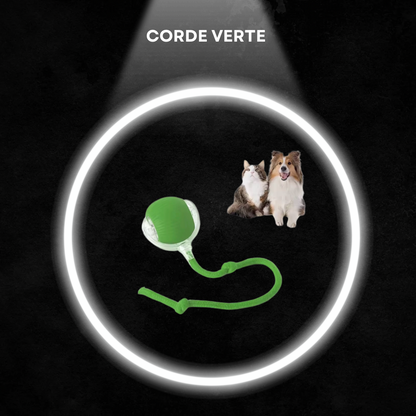 Balle Interactive Intelligente pour Chat – Silencieuse, Rechargeable, Résistante aux Morsures