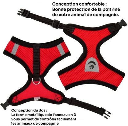 Harnais Respirant pour Chien et Chat avec Laisse – Harnais Réglable en Maille Polyester